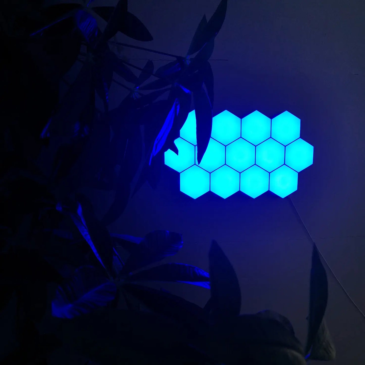 Hexagon LED Lights (6-pack)